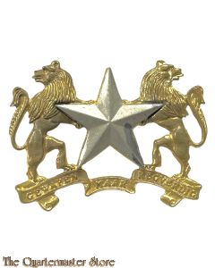 Badge Regiment Molopo South Africa 
