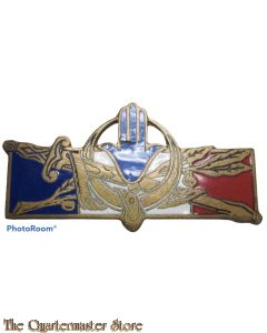 France - Insigne des Forces Françaises en A.F.N.