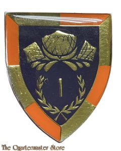 Badge 1 Special Service Battalion South Africa