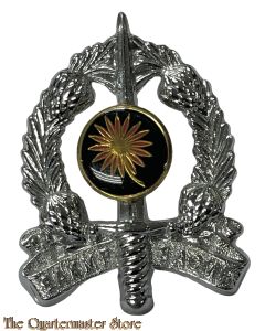 Badge Corps of Military Police South Africa 