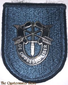 Beret flash Reserve & Nat. Guard (old)