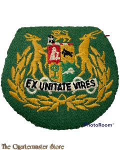 Badge Warrant Officer 1  South Africa (green)