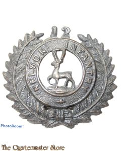 Cap badge 12th (Nelson) Regiment