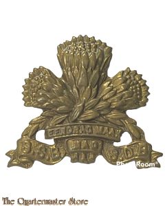 Collar badge Special Service Battalion South Africa