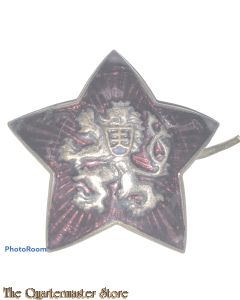 Czech - Wedge cap badge 1950s (Cepicovy odznak MV)