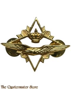 Brevet Hogere Luchtmacht Vorming (HLV)