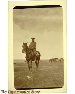 Photo 1917 Kavaleristen mit Pferd im Felde
