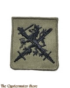 Stoffen Brevet - Hogere Bekwaamheid Militaire Lichamelijke Opvoeding & Sport 1994
