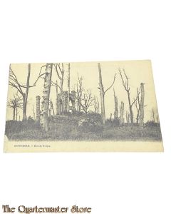 France - Postcard 1914 ZONNEBEKE, - Bois de Potijze